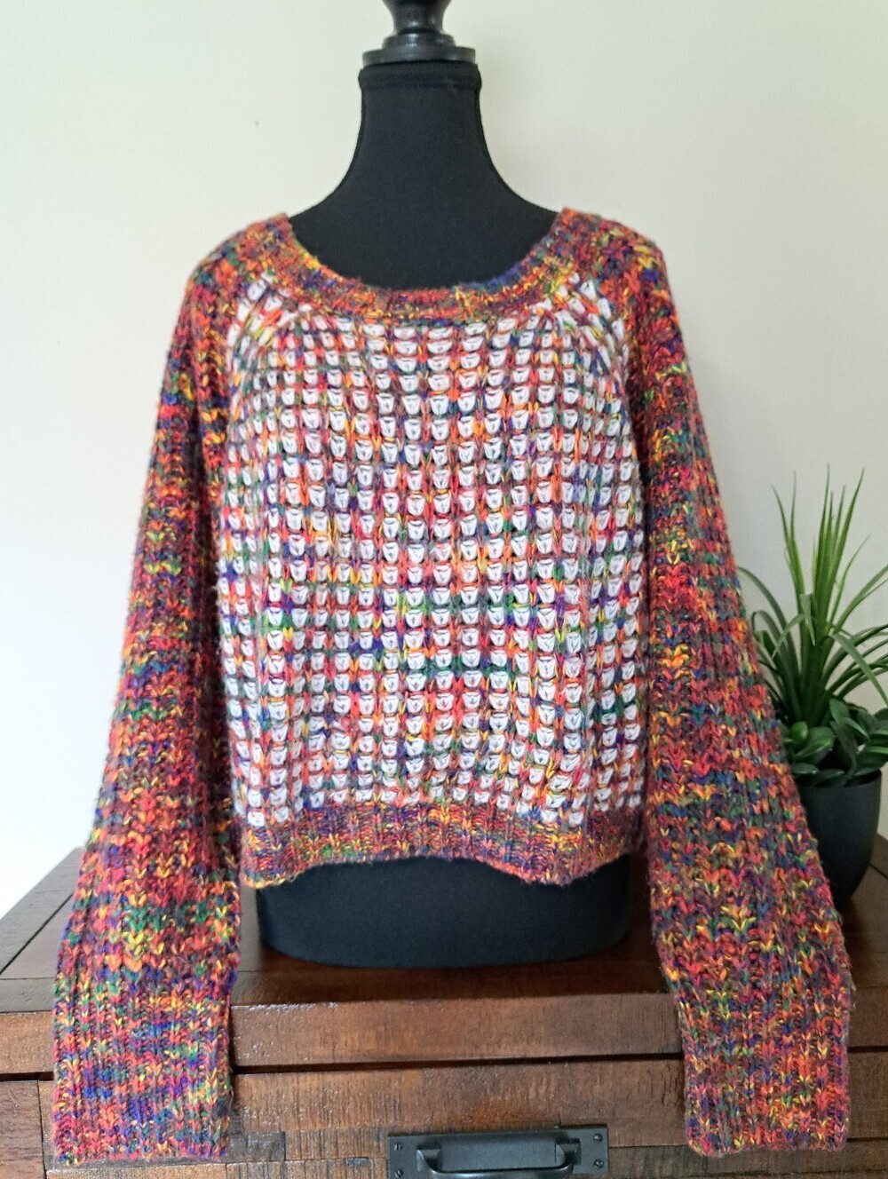 Paper Heart Australia Multicolor Chunky Open Knit Cropped Sweater Size Large